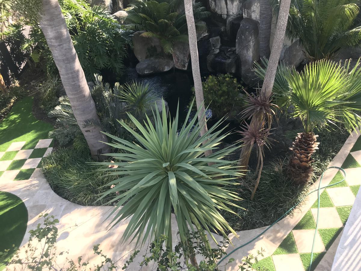 مبيت وإفطار هيرمانوس Francolin Manor المظهر الخارجي الصورة